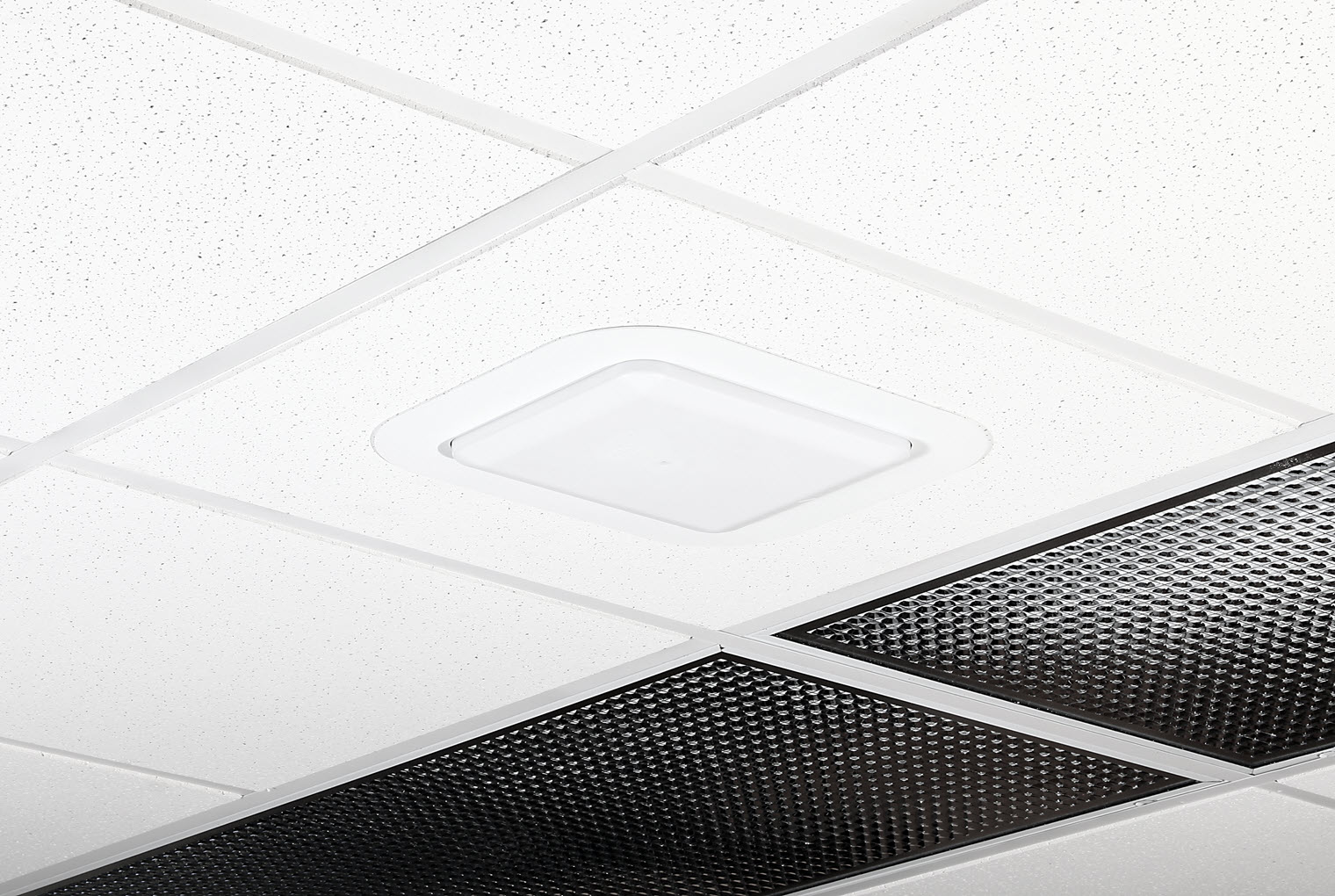 Oberon Series 1444 ceiling tile bracket with wireless access point installed in a white acoustic ceiling grid.